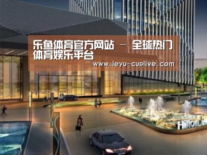 案例展示二