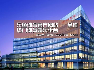 案例展示五