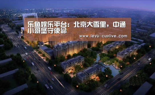 乐鱼娱乐平台:北京大雪里,中通小哥坚守使命(图2) 乐鱼直播
