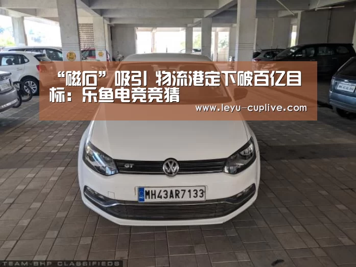 “磁石”吸引 物流港定下破百亿目标:乐鱼电竞竞猜(图3) 乐鱼直播