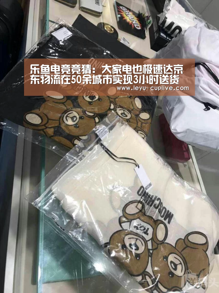 乐鱼电竞竞猜:大家电也极速达京东物流在50余城市实现3小时送货上门(图1) 乐鱼体育官方网站